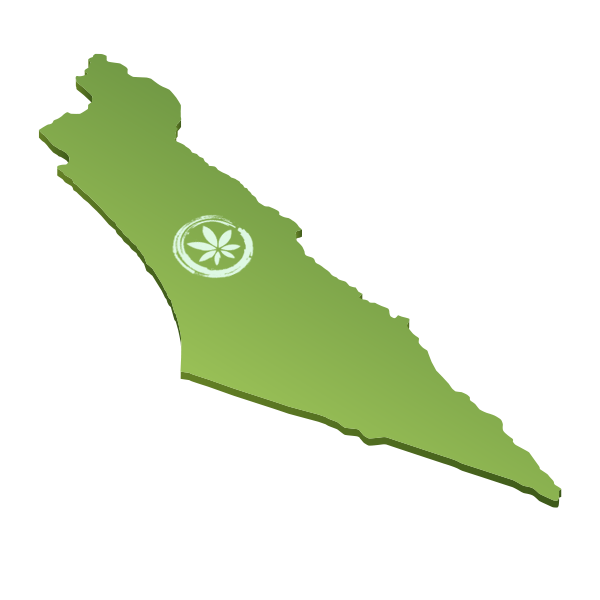 Area01